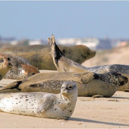 Surf Vue Mer 100M Plage Berck Bagian luar foto